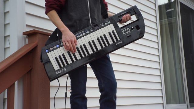 #Pokemon20 "Advance Adventure/Heroes of Hoenn" - GARDEN (Keytar Cover) смотреть онлайн