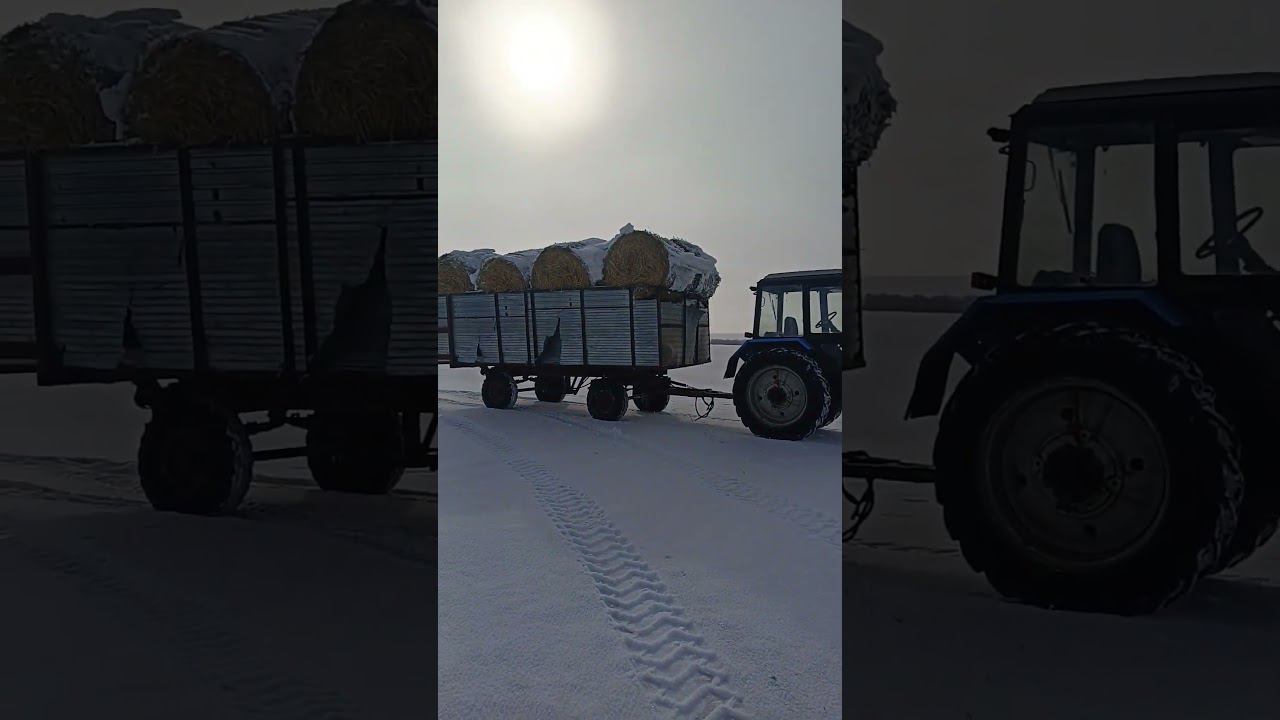 Первый день весны, а мы уже в поле смотреть онлайн