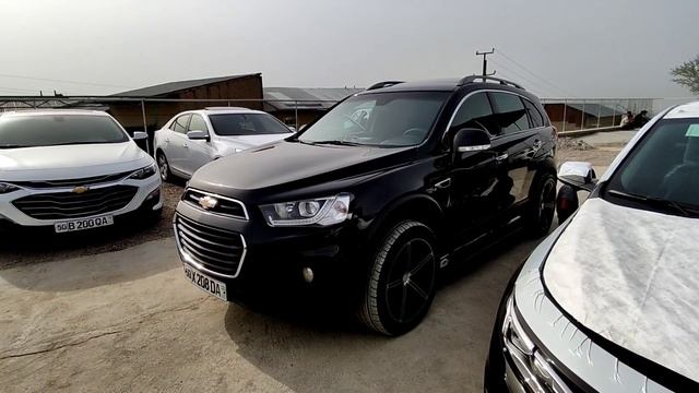 Капива 4 Captiva 1 Kaptiva 3 Captiva 2 Narxlari 11 Aprel 2022 Yil Каптивалар нархлари