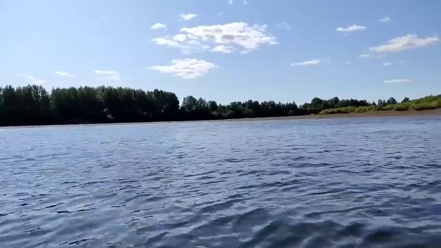 Колесниковы// Кого боится, Леша? // У Светы опять брачный период! // Обзор видео// смотреть онлайн