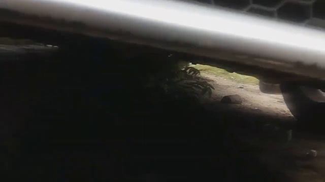 Замена масла в коробке Рено: Сандеро, Логан смотреть онлайн