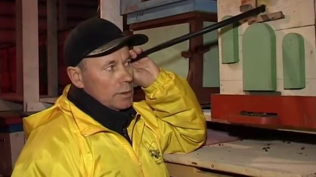 3-9 http://www.beejoy.ru - Целебные свойства пчелиного подмора смотреть онлайн