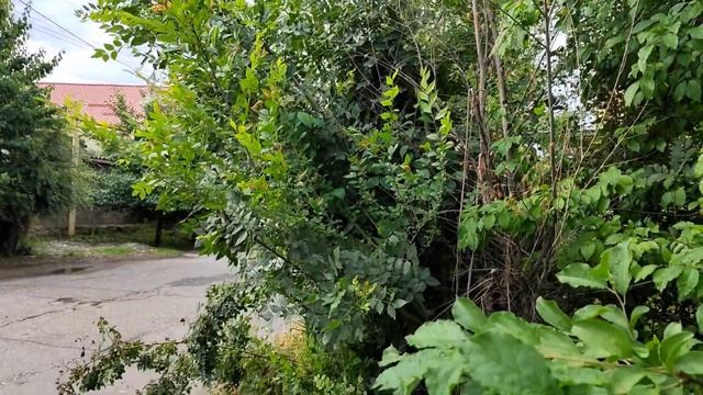 СОНУН ВИДЕО / ОРУС БАЗАРЫ ЖОЛ АЛДЫМ. смотреть онлайн