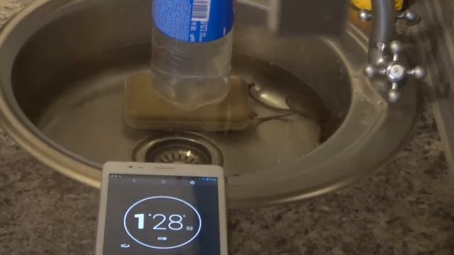 Ударопрочный, водонепроницаемый контейнер за $ 4,46 смотреть онлайн