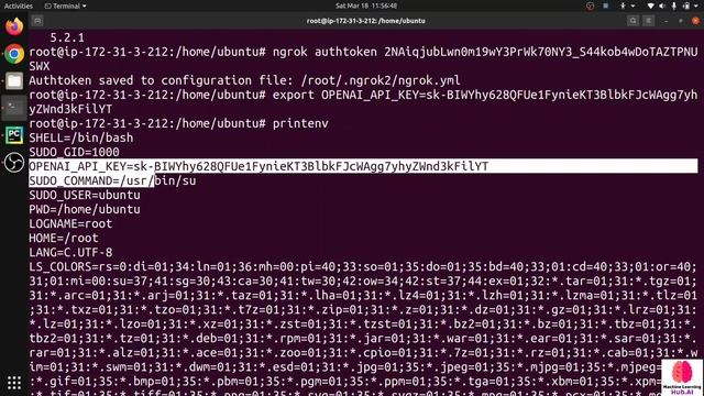 Building a WhatsApp Chatbot with Python, Twilio, and EC2: Introducing ChatGPT WhatsApp Bot смотреть онлайн