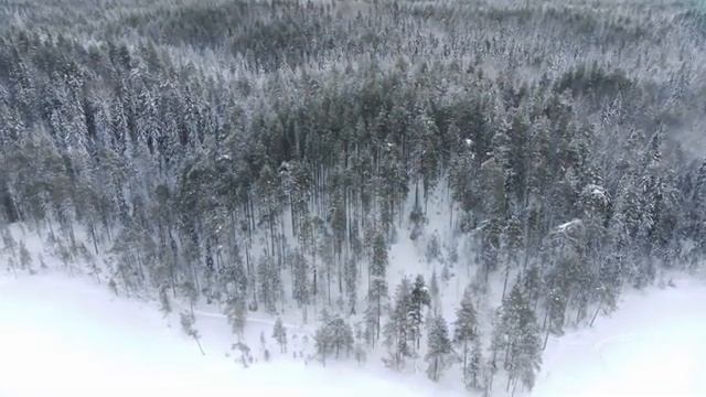 Yamaha Enticer 400TR, по следам волка смотреть онлайн