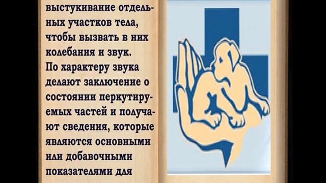 клинический осмотр животного мини смотреть онлайн
