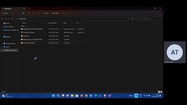 How to Install Oracle 11g and SQL Developer English смотреть онлайн