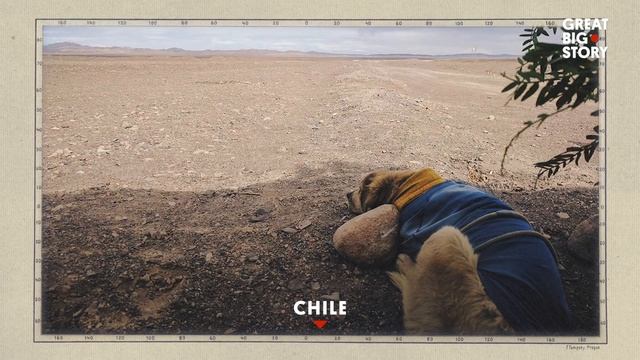 Why One Man Is Walking Around the World With His Dog смотреть онлайн