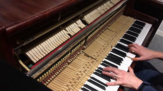 Rieger-Kloss / Petrof Studio Upright Piano смотреть онлайн