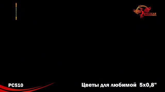 PC510 цветы для любимой 0,8*5 смотреть онлайн