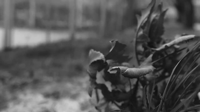 Скриптонит - Это любовь I Love Story смотреть онлайн