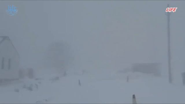 -40°с! жизнь останавливается в сша и канаде! самое холодное рождество за последние десятилетия смотреть онлайн