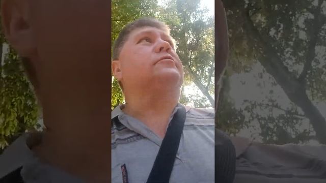джидел таксопарк смотреть онлайн