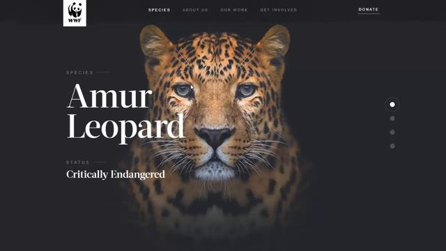 WebGL Distortion Slider Effect - HTML CSS JS смотреть онлайн