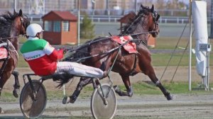 26.05.2023г. 2023 бега и скачки на Казанском ипподроме.