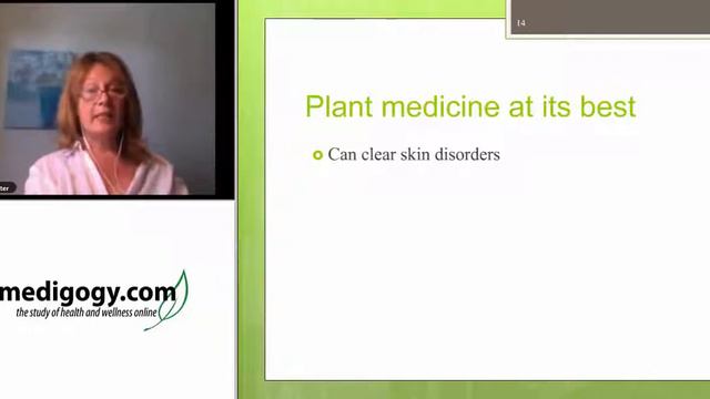 The Aromatherapy Apothecary  - 14 Therapeutic Essential Oil Profiles For Practitioners