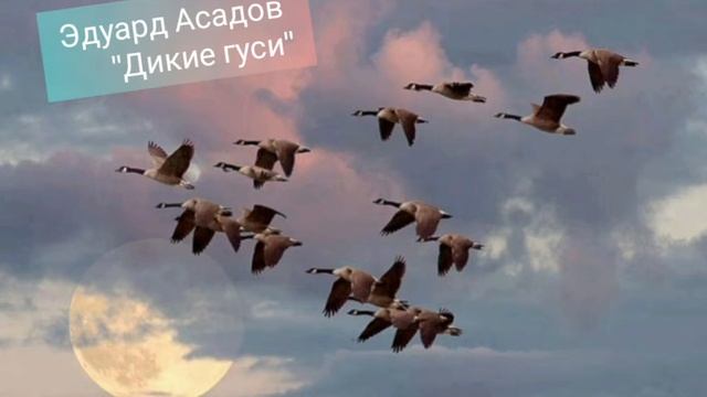 Эдуард Асадов "Дикие гуси" смотреть онлайн