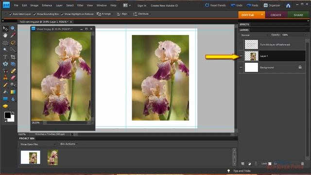 Photoshop Elements Photo Note Card Printing & Setup Windows HP printers vertical Image смотреть онлайн