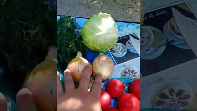 Просто невероятно, скупился сегодня на рынке всего за ? грн. Геническ. 17.06.2022. смотреть онлайн