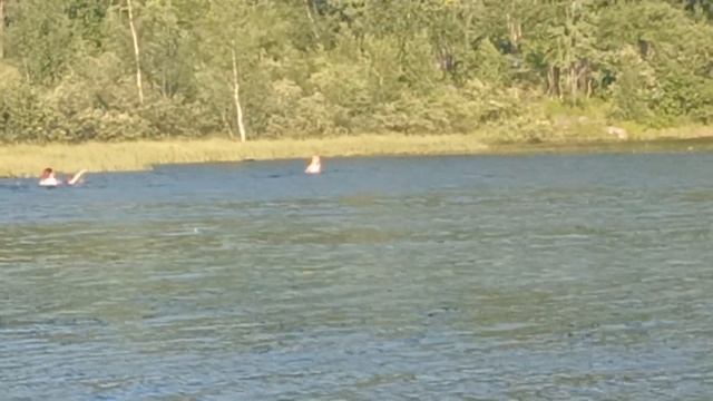 Мурманск погода жарко +27 люди ходит купаться и рыбалка. не надо ехать на море ???????? смотреть онлайн