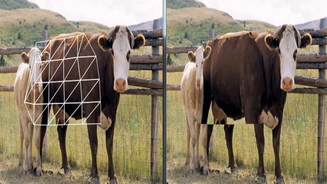 As-Rigid-As-Possible Shape Manipulation Practice in OpenCV смотреть онлайн
