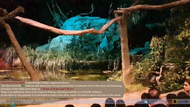 Creatures of the Night - Full Show - Singapore | The Backpackers 4k смотреть онлайн