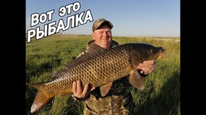 Рыбалка на паук! Сибирские реки богатые рыбой не перестают радовать! Сазаний рай!