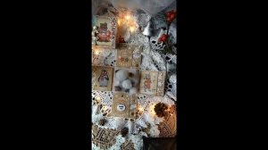Скрапбукинг, Подарки, Music Magic box, Маджик бокс музыкальный для Алёши