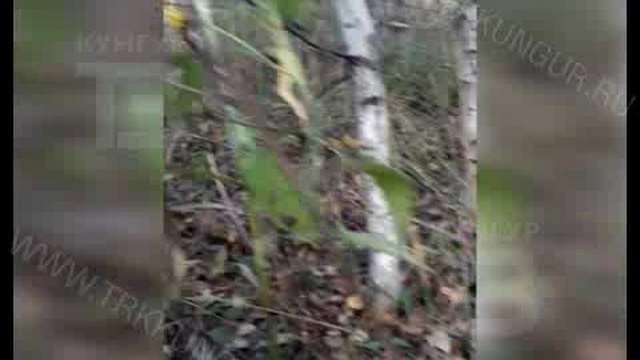 Город Новостей 01 08 2017 смотреть онлайн