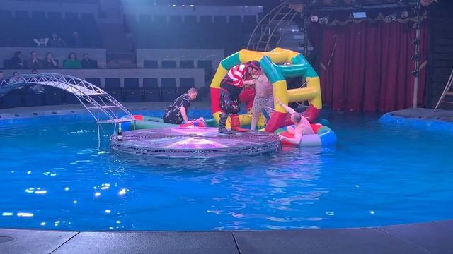 24 февраля 2019 г. Цирк на воде Новосибирск смотреть онлайн