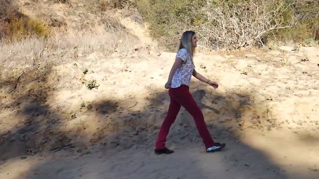 ЛОС АНДЖЕЛЕС: ожидание против реальности. Где найти буквы ГОЛЛИВУД? Вся правда! смотреть онлайн