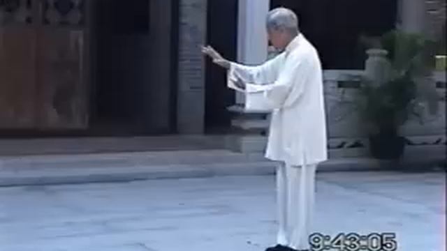 Master Lu,Gui-yao -- Liu He Ba Fa Chuan 六合八法 (Water Boxing) смотреть онлайн