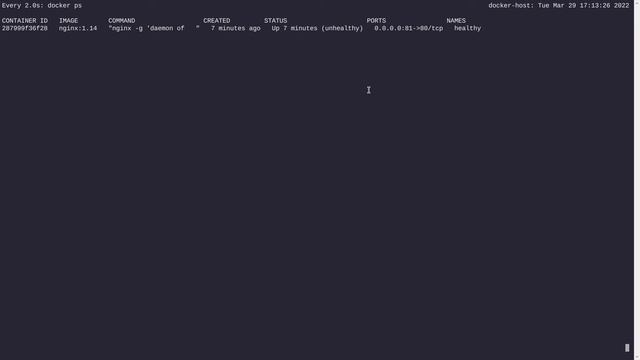container health check with docker in 3 different ways смотреть онлайн