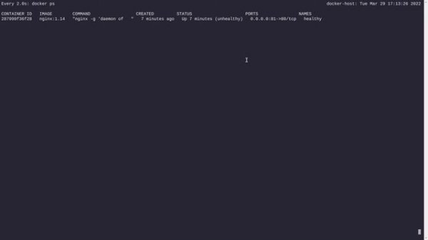 container health check with docker in 3 different ways