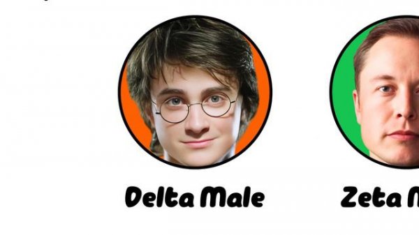 Every Male Personality Types Explained in 8 Minutes / The Paint Explainer