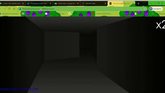 Evil Leafy Maze Game 100:32 Any% (World Record!! Ustalony przez Polaka ( ͡° ͜ʖ ͡°) ?? смотреть онлайн