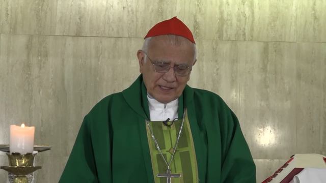 Misa de hoy domingo 16 de octubre con el cardenal Baltazar Porras смотреть онлайн