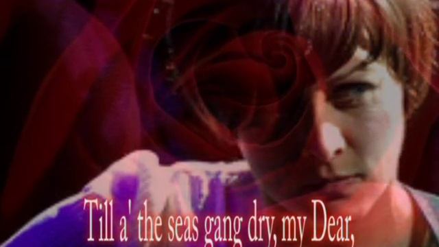 Camera Obscura - A Red, Red Rose смотреть онлайн