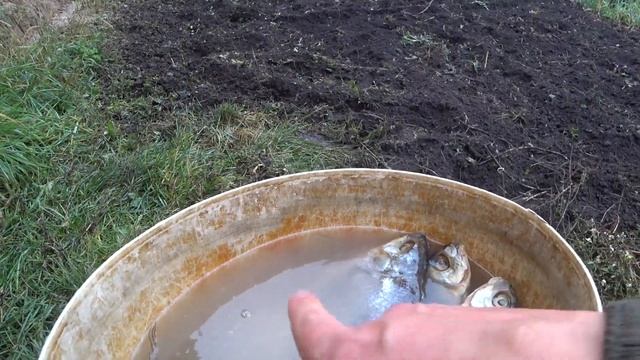 Секреты Творческого Саморазвития