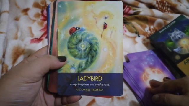 Archangel Animal Oracle Cards (by Diana Cooper) ~ Flip through + Review смотреть онлайн