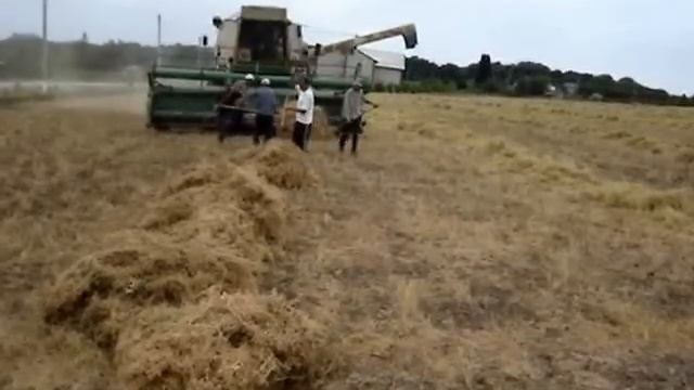 Первый урожай чечевицы в Господарул Редю смотреть онлайн