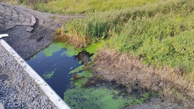 Река Шолюшка. смотреть онлайн