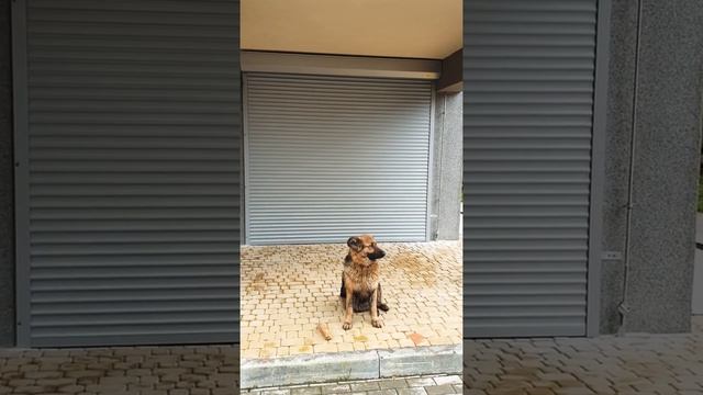 Рольставни в Калининграде. С автоматикой смотреть онлайн