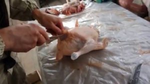 вилка для потрошения МТМ