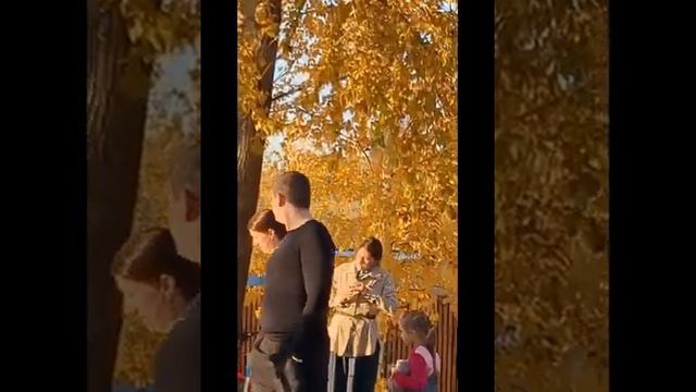 Осень! Остров Татышев! смотреть онлайн