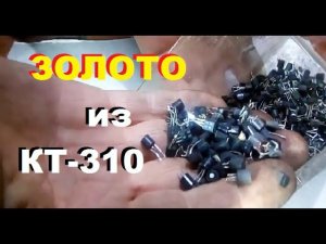 золото из транзисторов КТ-310 (полубочёнки)