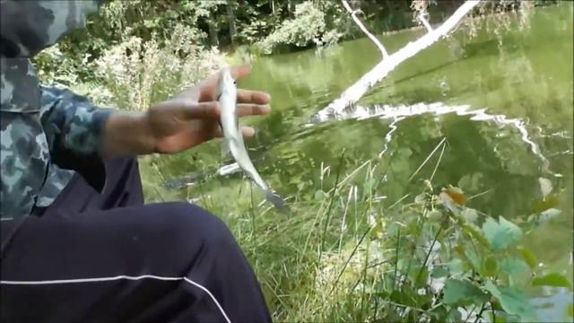 РЫБАЛКА С АИСТОМ смотреть онлайн