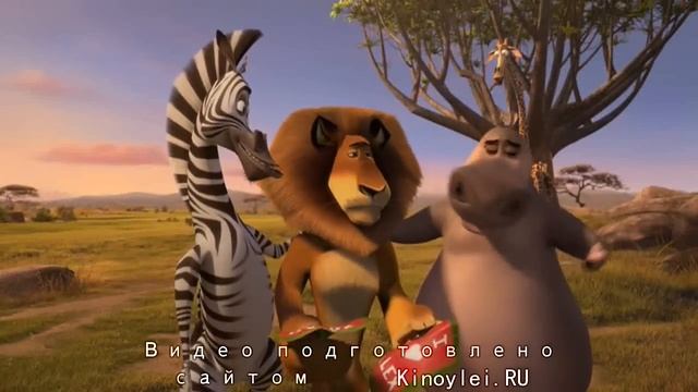 Безумный Мадагаскар  Madly Madagascar (2011).mp4