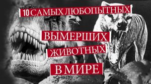10 самых любопытных ВЫМЕРШИХ ЖИВОТНЫХ В МИРЕ! ИСЧЕЗНУВШИЕ ВИДЫ. Черная книга. Удивительное рядом